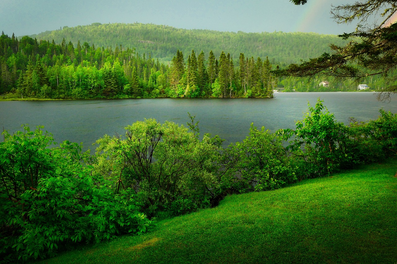 découvrez l'importance de la biodiversité pour notre planète. explorez les écosystèmes, les espèces menacées et les actions à entreprendre pour préserver notre richesse naturelle.