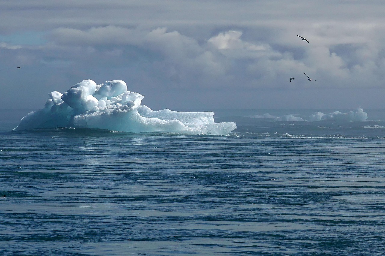 découvrez les enjeux du changement climatique, ses impacts sur notre planète et les solutions durables à mettre en œuvre pour préserver l'environnement et notre avenir.