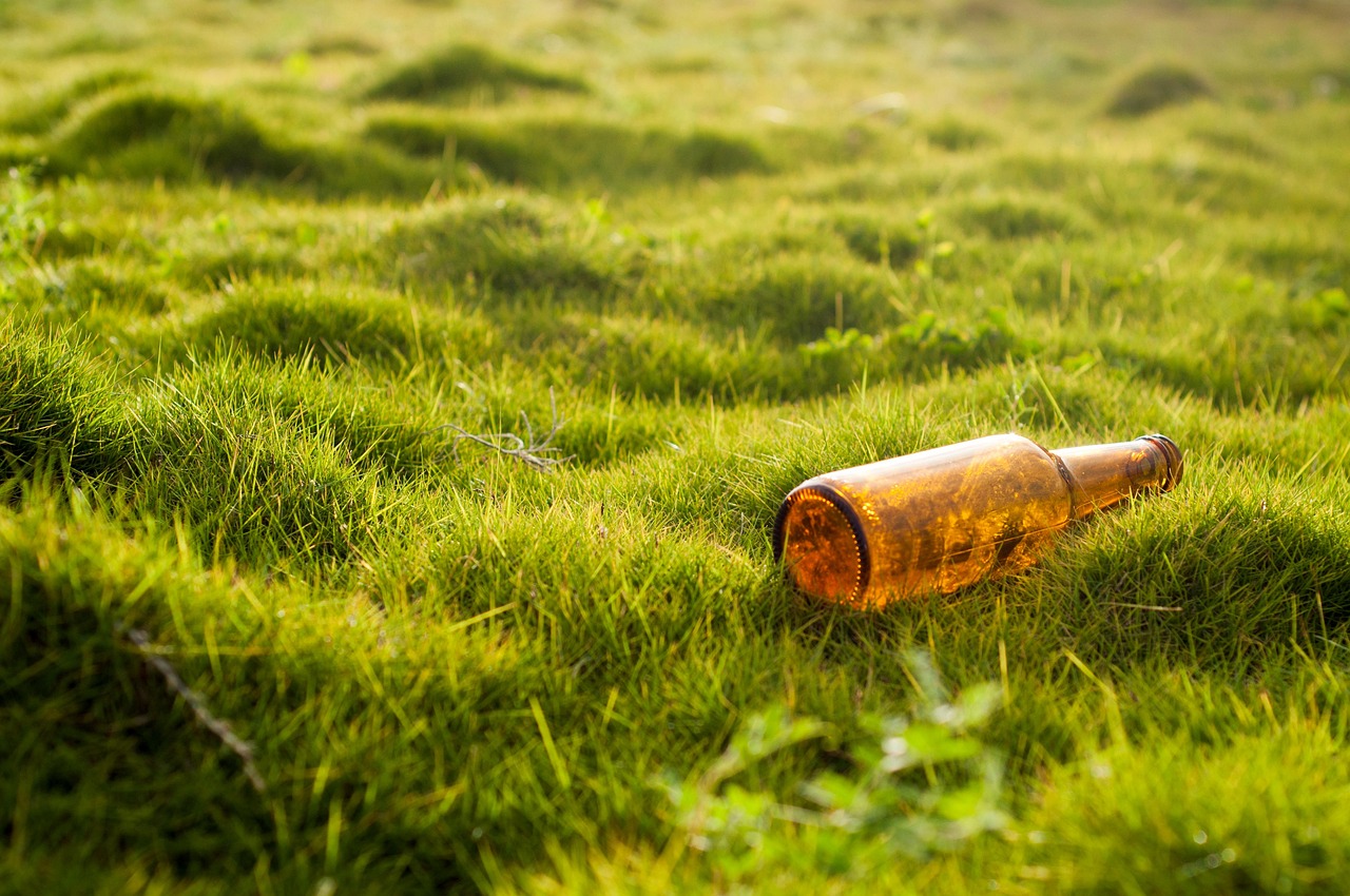 découvrez les principes de la gouvernance environnementale, un cadre essentiel pour la gestion durable des ressources naturelles et la protection de notre planète. apprenez comment les politiques et les collaborations internationales contribuent à un avenir écologique responsable.