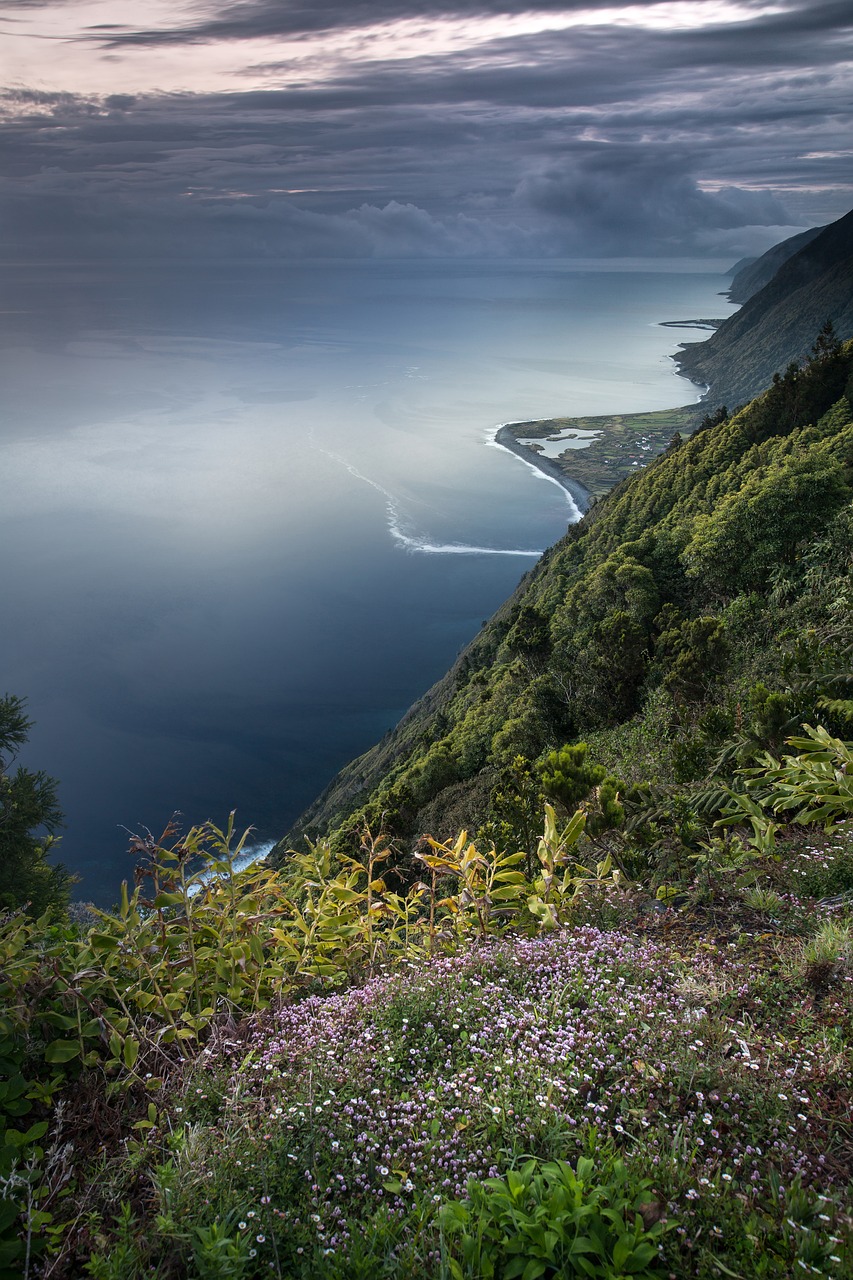découvrez l'importance de la biodiversité pour notre planète. explorez les différents écosystèmes, les espèces menacées et les actions que nous pouvons entreprendre pour préserver la richesse de la vie sur terre.