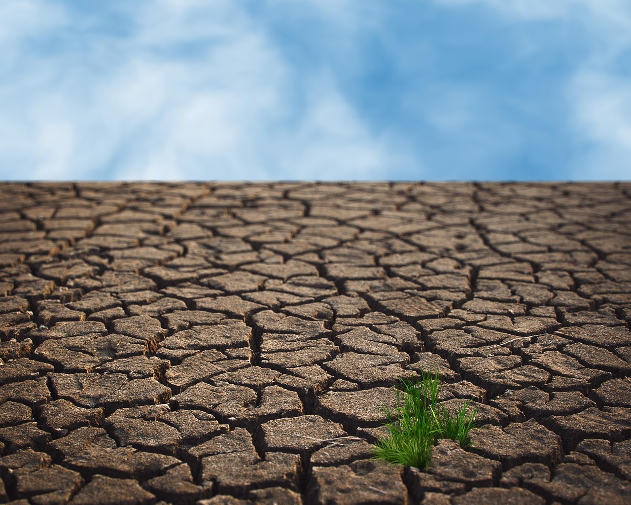 découvrez les enjeux cruciaux du changement climatique, ses impacts sur notre planète, et les solutions pour un avenir durable. informez-vous sur les actions à entreprendre pour lutter contre cette crise environnementale globale.