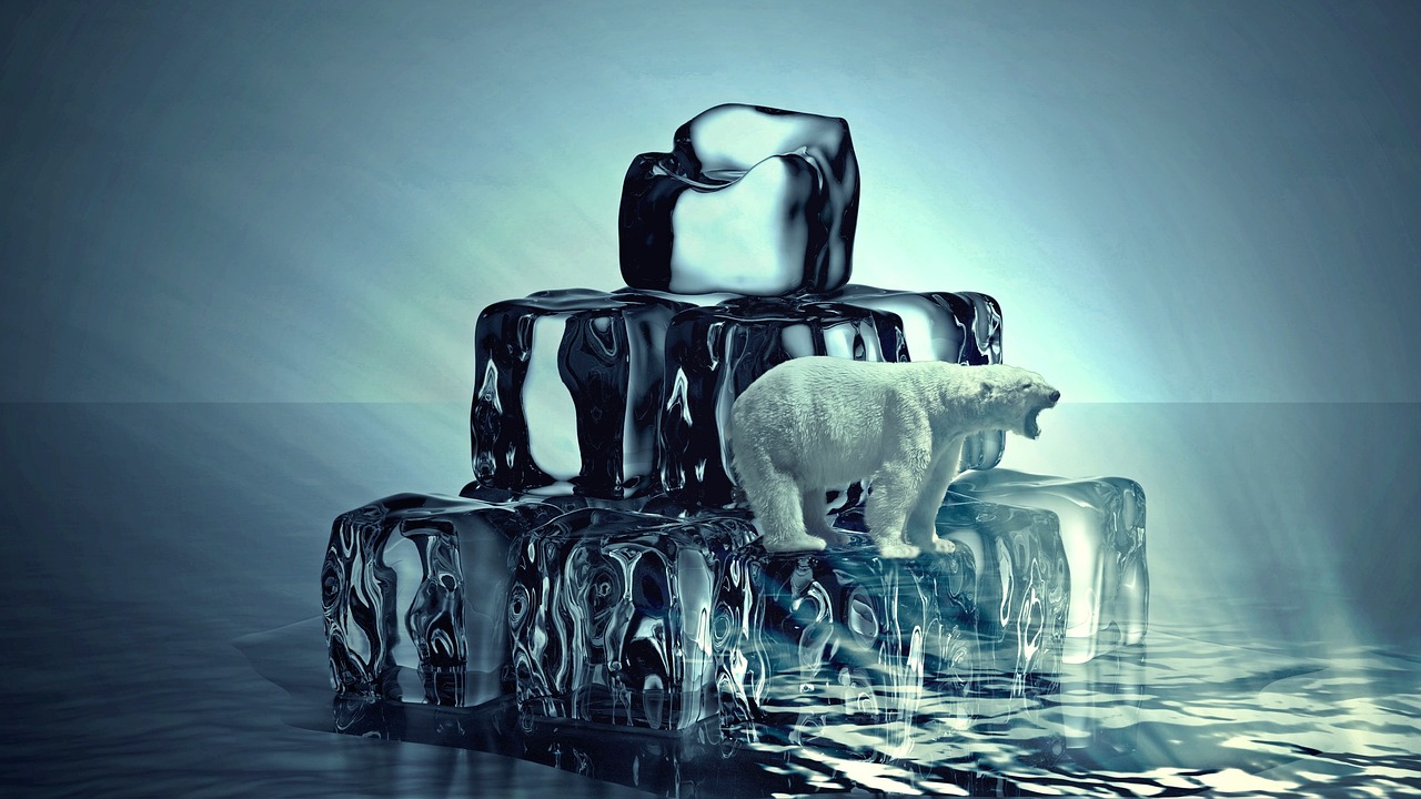 découvrez les enjeux du changement climatique, ses impacts sur notre planète et les solutions pour un avenir durable. informez-vous sur les actions individuelles et collectives pour lutter contre cette crise environnementale.