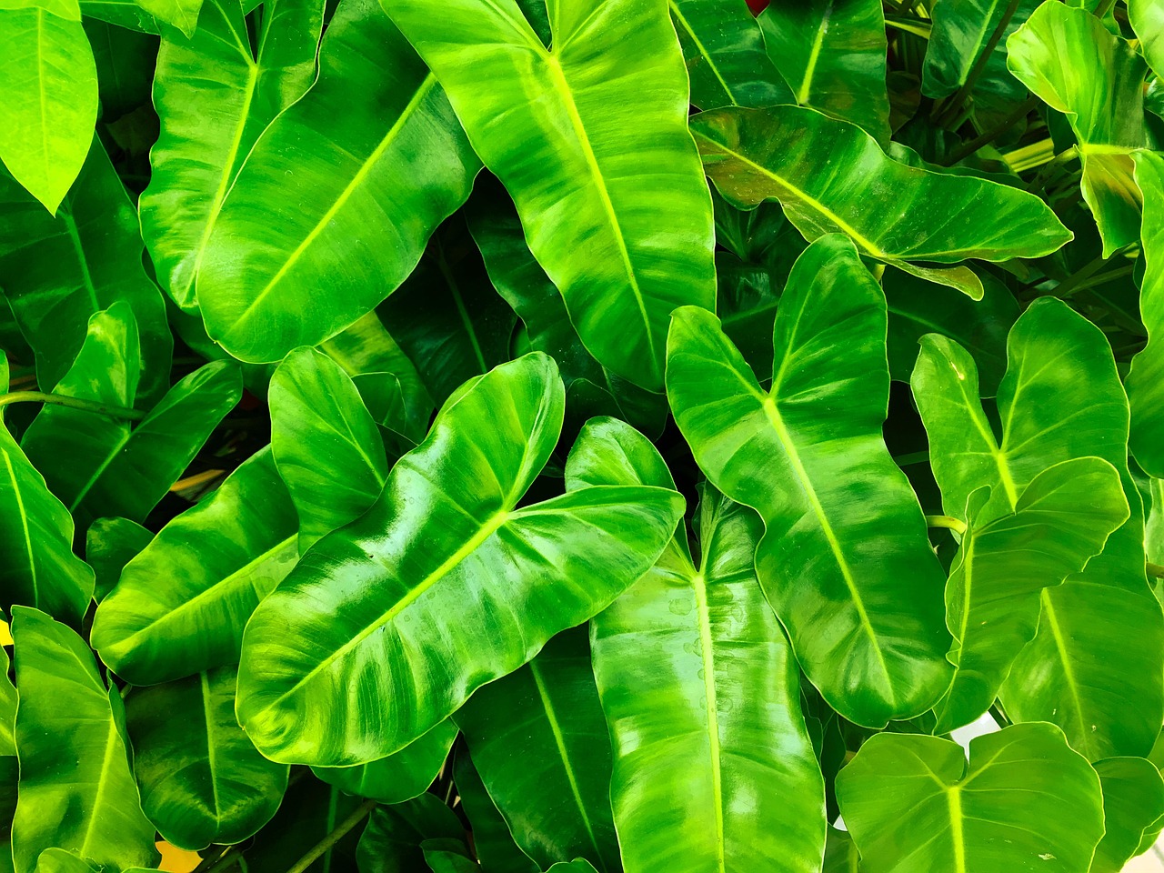 découvrez l'importance de la communication environnementale, une approche essentielle pour sensibiliser et mobiliser les individus sur les enjeux écologiques. explorez des stratégies, des outils et des exemples de campagnes qui visent à promouvoir la durabilité et la protection de notre planète.