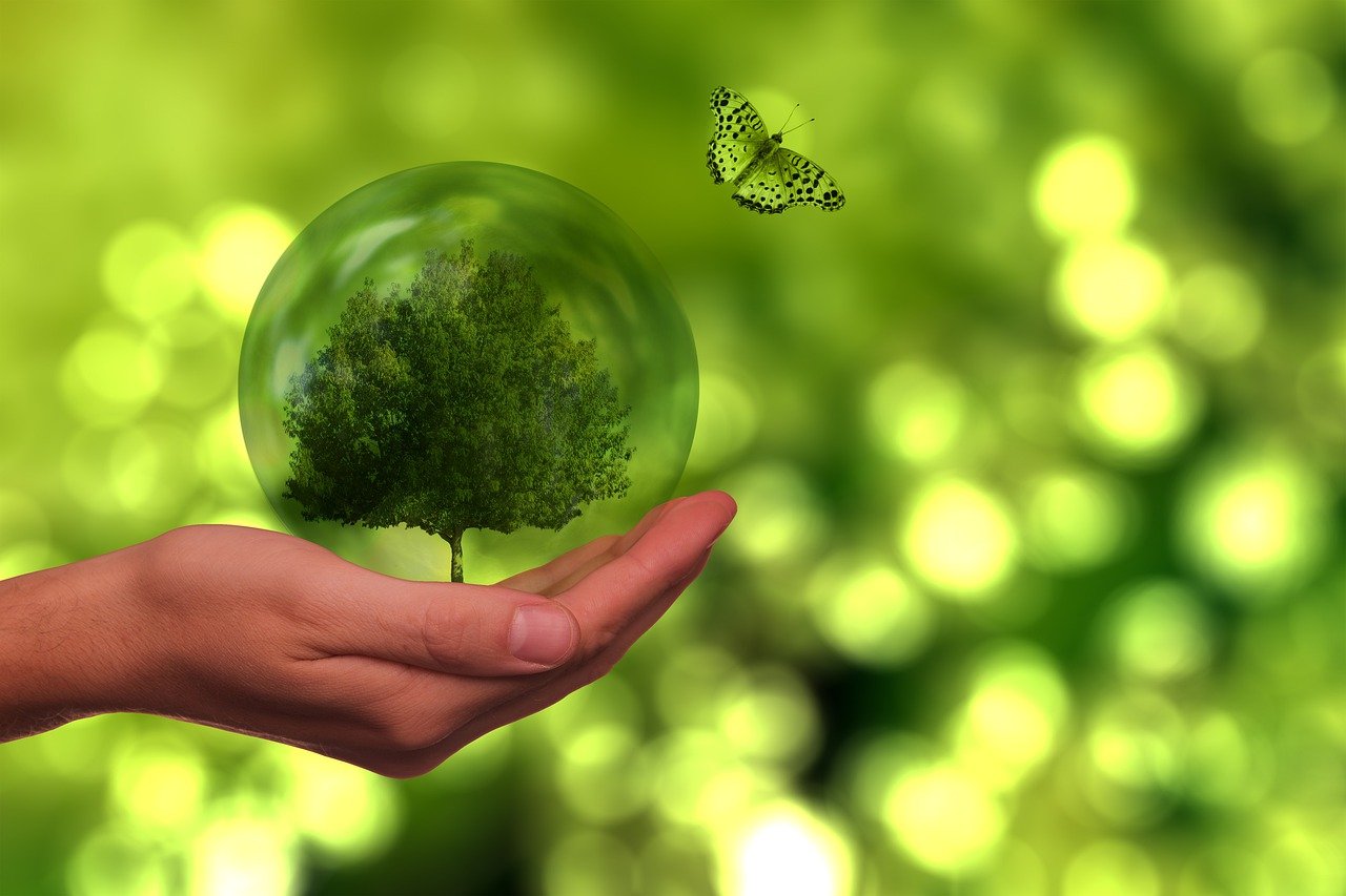 découvrez les principes de la durabilité et comment ils façonnent un avenir plus respectueux de l'environnement. apprenez les actions concrètes pour adopter un mode de vie durable et contribuer à la préservation de notre planète.