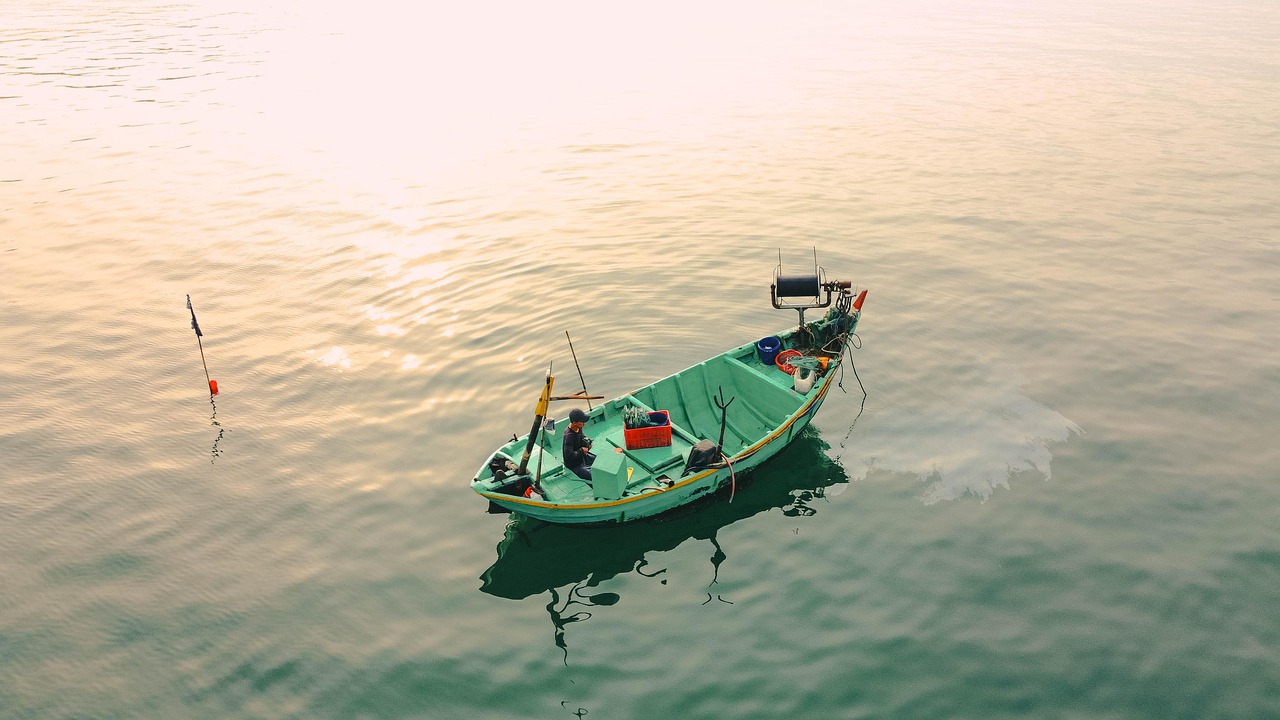 découvrez les pratiques de la pêche durable qui préservent nos océans tout en garantissant la sécurité alimentaire. engagez-vous pour une pêche responsable et respectueuse de l'environnement.